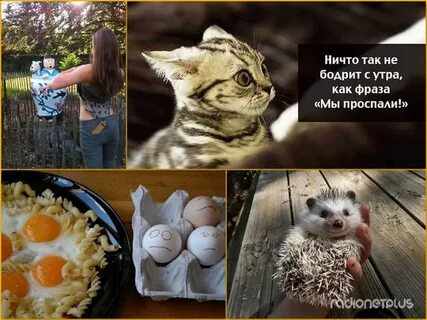 Утром ничего не ем