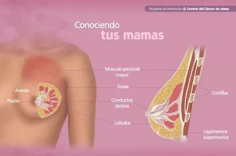 Información General 