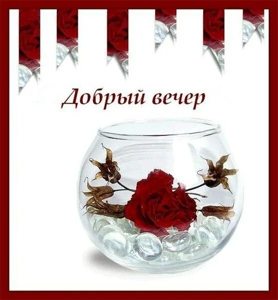 поздравление с хорошим вечером. добрый вечер любимая. уютного вечера. добрый вечер любимый. вечерний буктет сдобрыми пожеланиями.