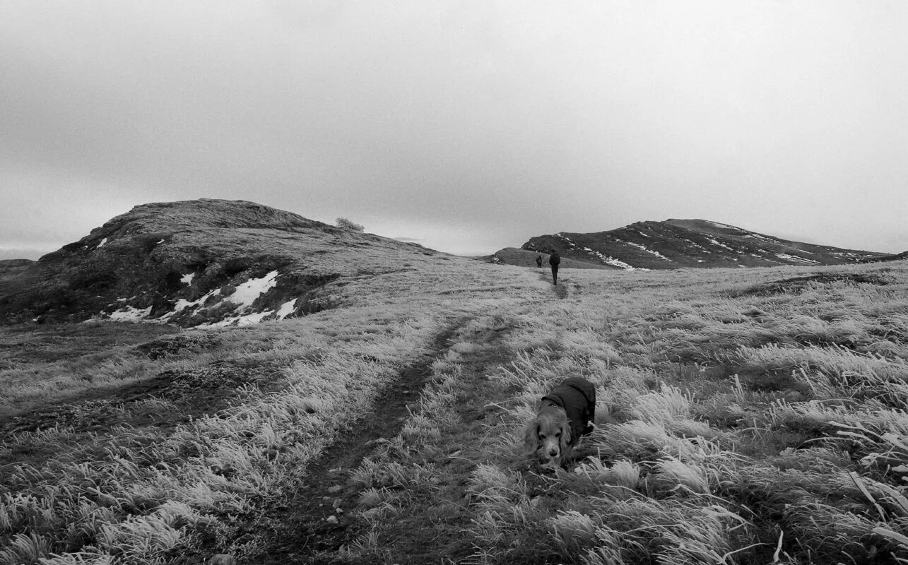 Река геологическая путорана. Плато путорана животные. Тещины зубы кабардино балкария. Выйти на плато. Река геологическая путорана.