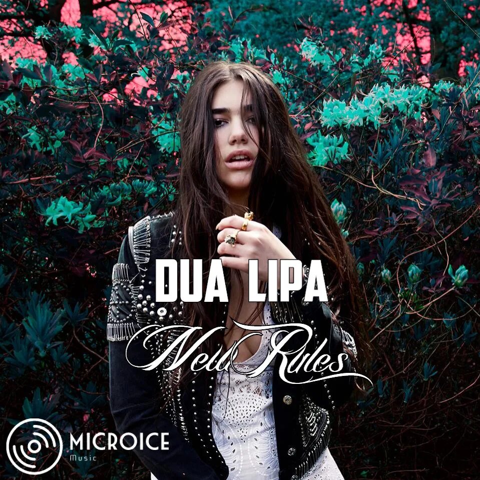 Песня new rules. Dua Lipa album. Dua Lipa обложка. Dua Lipa album обложки. Дуа липа обложка альбома.