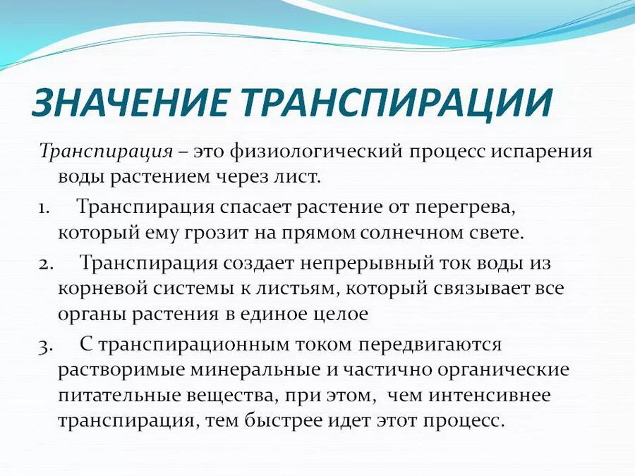 Функции транспирации