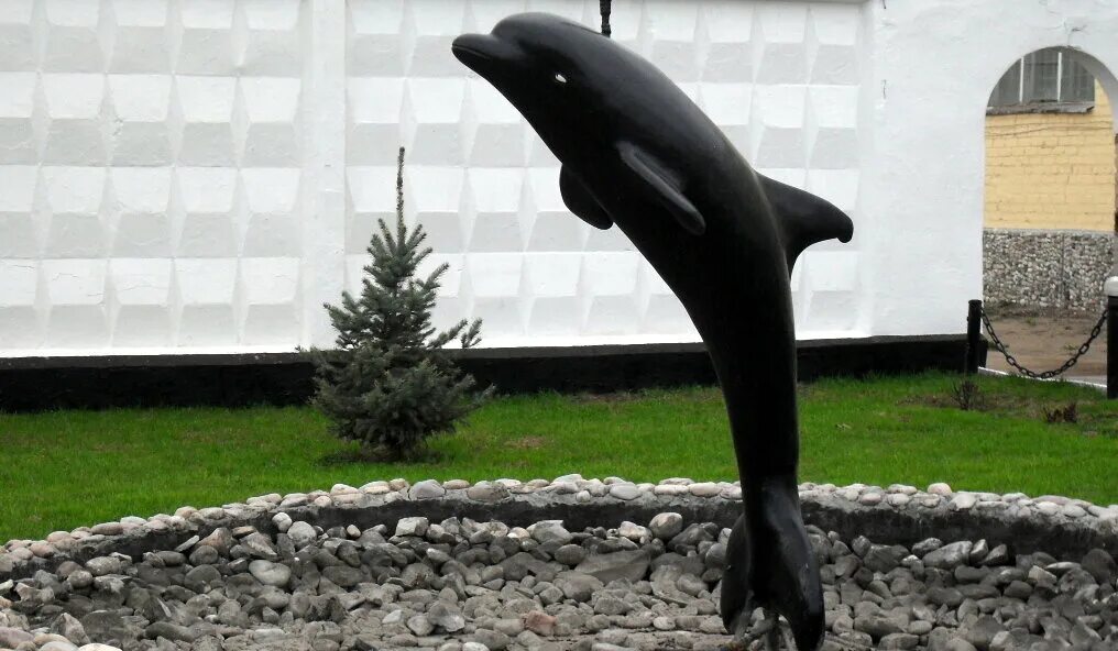 Черный дельфин. Соль-Илецк черный Дельфин. Соль-Илецк колония черный Дельфин. Фонтанчик с черным дельфином соль Илецк. Соль Илецк статуя черный Дельфин.