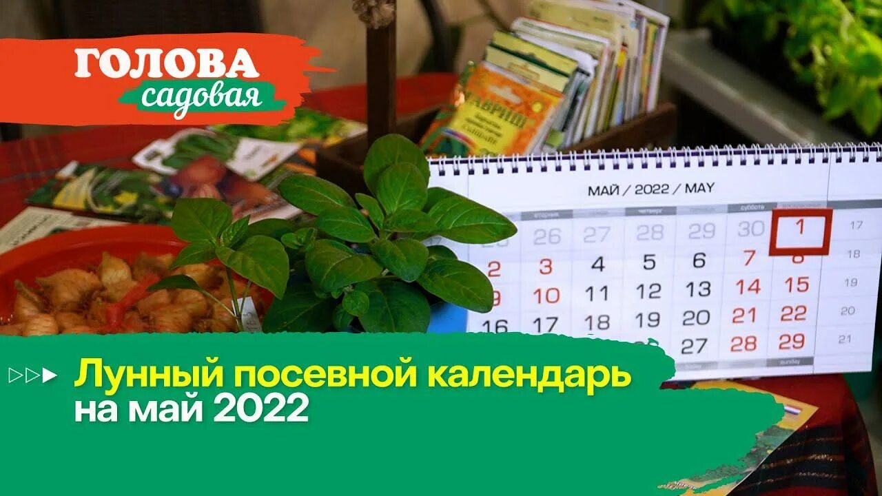 Посевной календарь на май 2022 года. Лунный посевной календарь на май 2022. Посевной календарь мая 2022. Лунный посевной календарь на 2022.