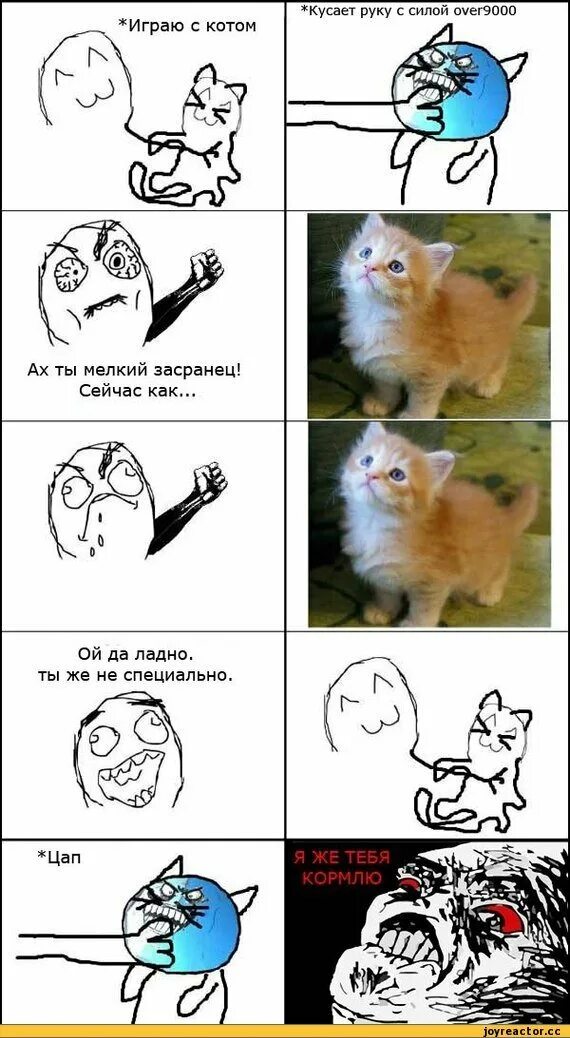 Смешные мемы с котами без мата Смешные мемы про котов (45 фото)  Смешные мемы, Мемы, Кот