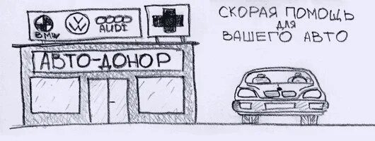 Донор авто. Автомобиль донор. Автодонор Ярославль. Автодонор 46. Автодонор Красноярск.