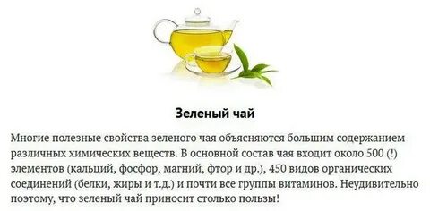 Зеленый чай полезные свойства
