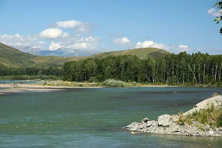 Каз река. Бухтарма река Казахстан. Река Бухтарма Алтай. Восточный Казахстан Бухтарма. Река Бухтарма Восточный.