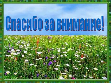 Жизнь луга 4 класс