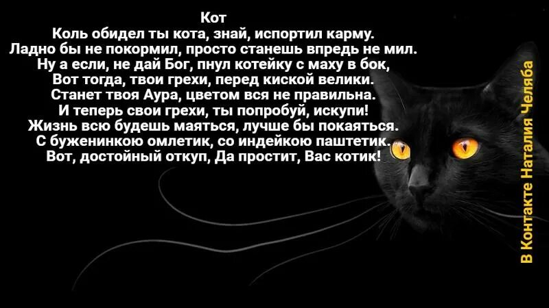 Коты портят. Кот испортил. Кот толкнул кота. Стих про кота обида. Стих про кота коль кота.