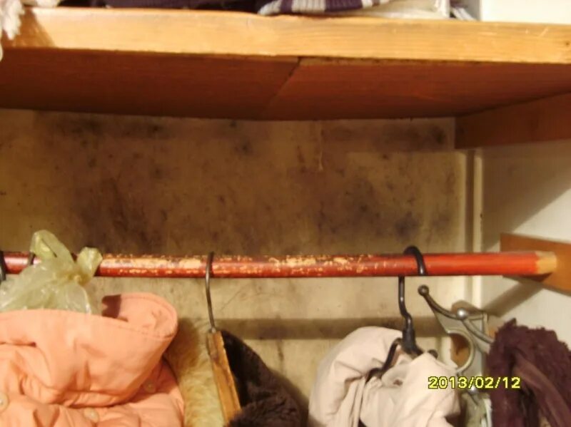 Шерстяные вещи шкаф деревня. Плесень под раковиной. Шкаф с одеждой дедушки. Плесень на кухне в шкафу. Запах для одежды в шкаф.