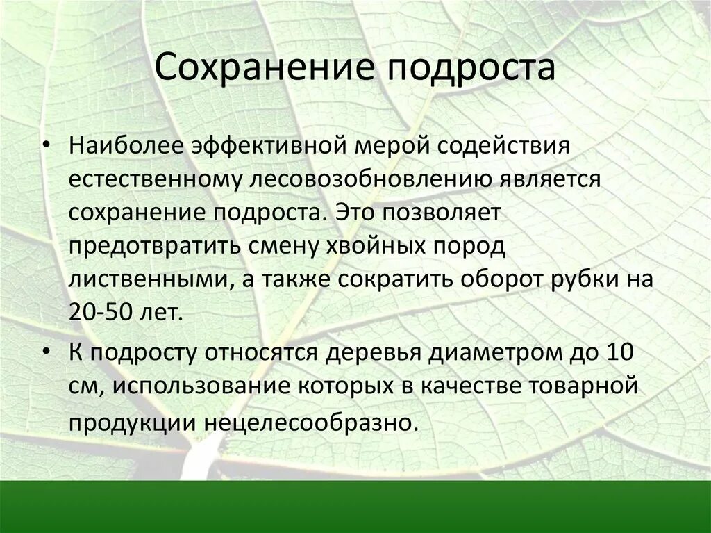 Сохранение подроста