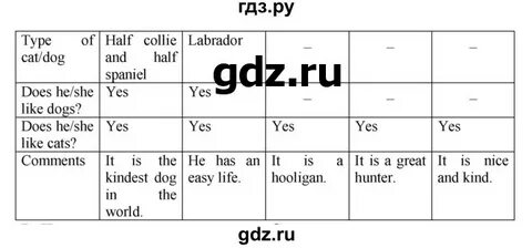 41 по английски