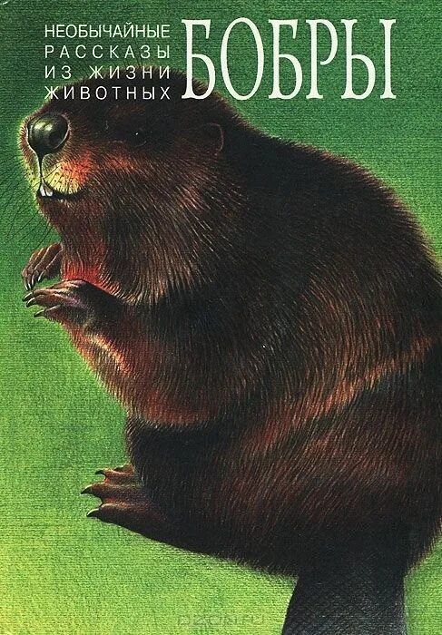 Книги о бобрах для детей. Книга бобры. Бобровая книги. Книга речные рассказы. Бобровая книги.