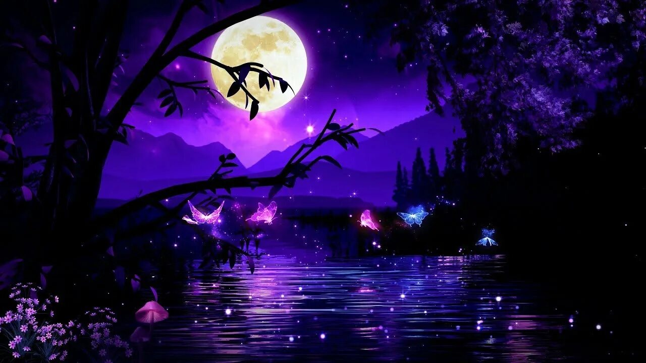 Sleep magic. «musa's magical night». Ночное волшебство. Magical night. Магический лес.