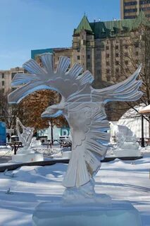Ice eagles
