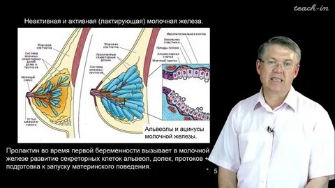 Лекции по биологии