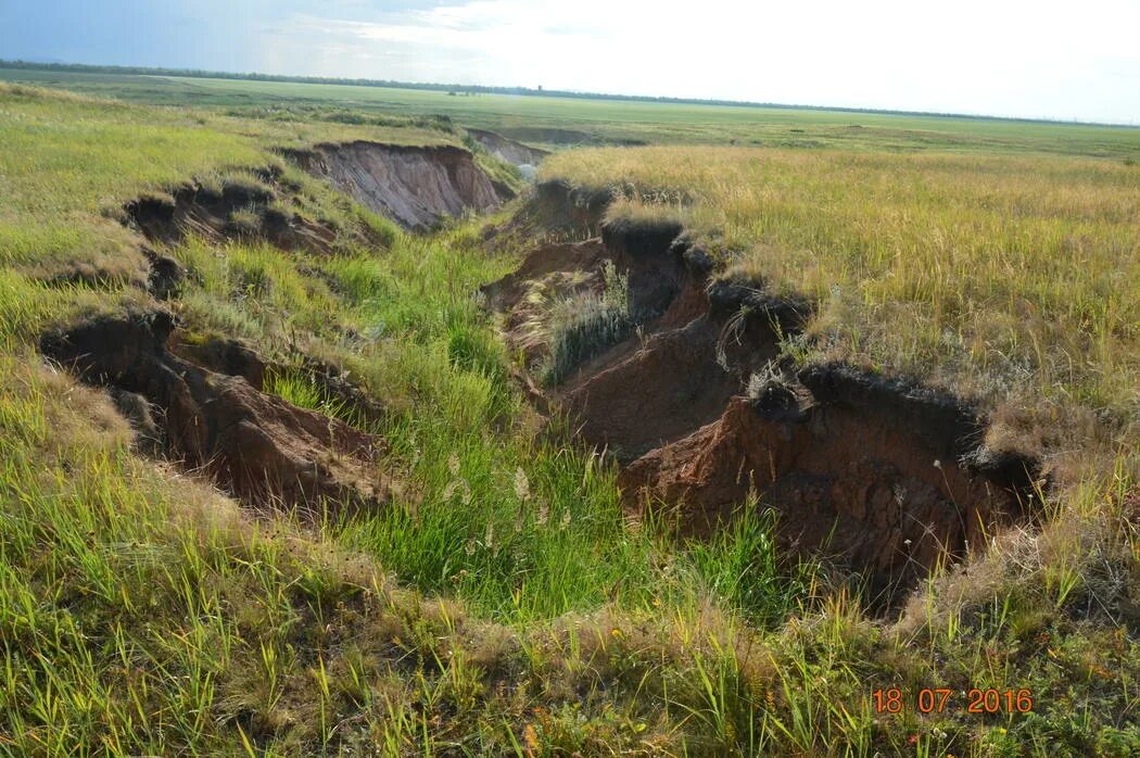 форт красная горка обрыв. желтые обрывы исчерченные промоинами. овражная эрозия центральной россии. овраги ставрополя. карст и суффозия.