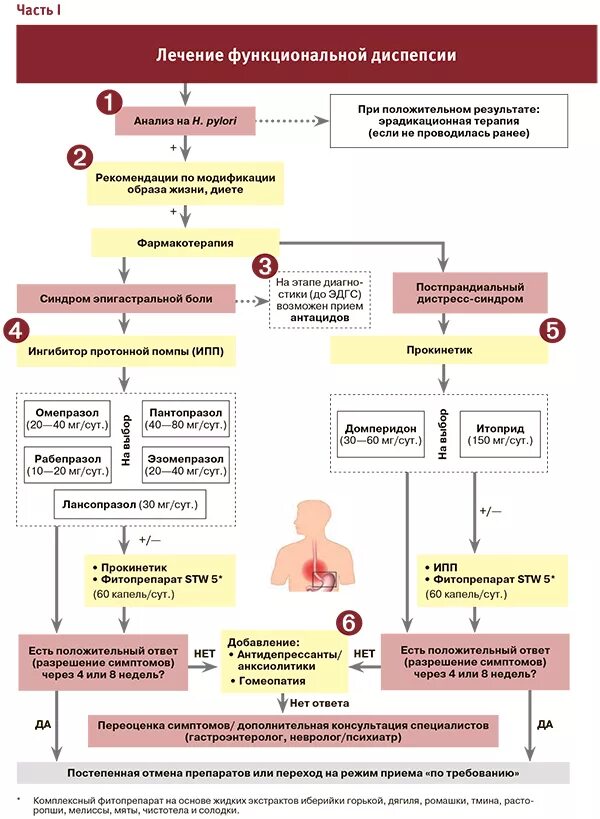Ленивый желудок симптомы. Препараты при функциональной диспепсии. Функциональная диспепсия у детей классификация. Функциональная кишечная диспепсия симптомы. Синдром диспепсии терапия.