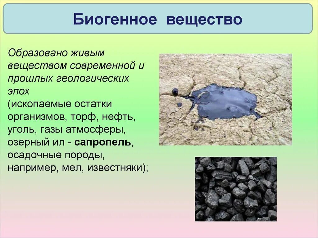 Картинки ПОЧЕМУ УГОЛЬ БИОГЕННОЕ ВЕЩЕСТВО