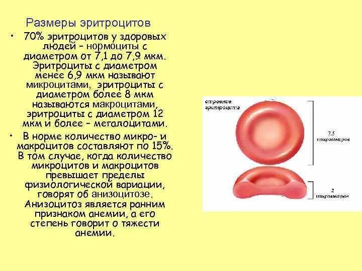 Форма эритроцитов человека. Диаметр клетки мкм эритроцитов человека. Размер эритроцитов в крови человека. Размеры клеток крови человека. Форма клетки эритроцитов человека.