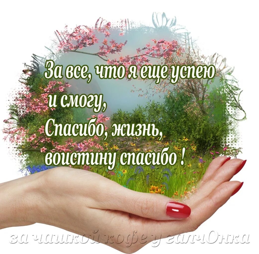 Спасибо что живу. Спасибо жизнь. благодарю за жизнь. спасибо за жизнь. спасибо жизнь за то что вновь приходит день.
