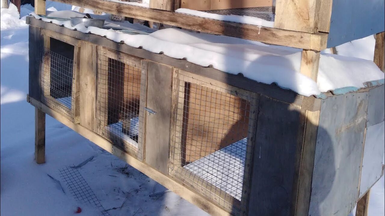 Клетки для кроликов на зиму. Утепленные клетки для кроликов. Крольчатник в сарае. Утеплить клетку. Кролики зимой в клетках.