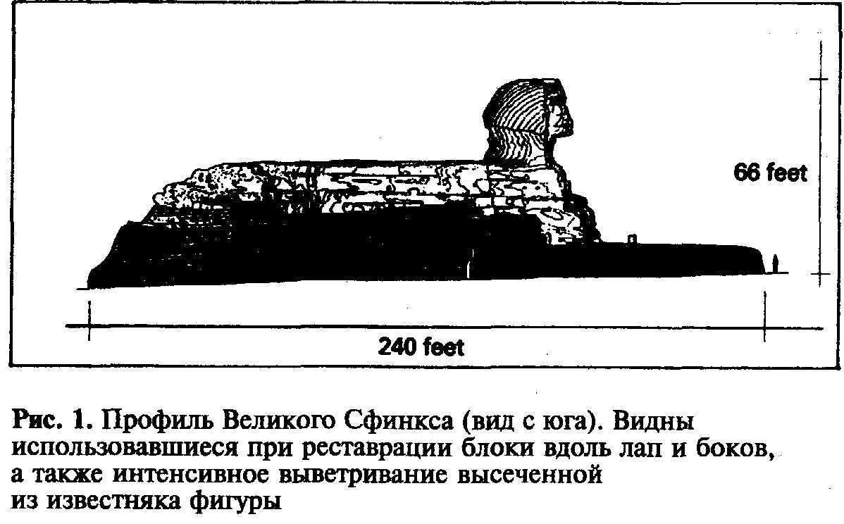 Размеры сфинкса в Египте. Сфинкс чертеж. Сфинкс в разрезе. Большой сфинкс в разрезе. Царь разгадавший