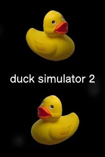 Duck simulator