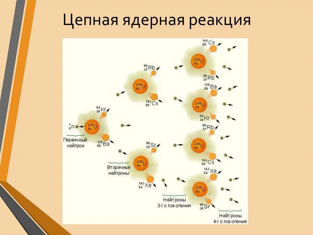 Ядерные реакции цепные ядерные реакции. Радиоактивность ядерная реакция цепная реакция. Цепные ядерные реакции ядерный реактор. Цепная реакция ядер урана. Радиоактивные превращения атомных ядер 9 класс видеоурок