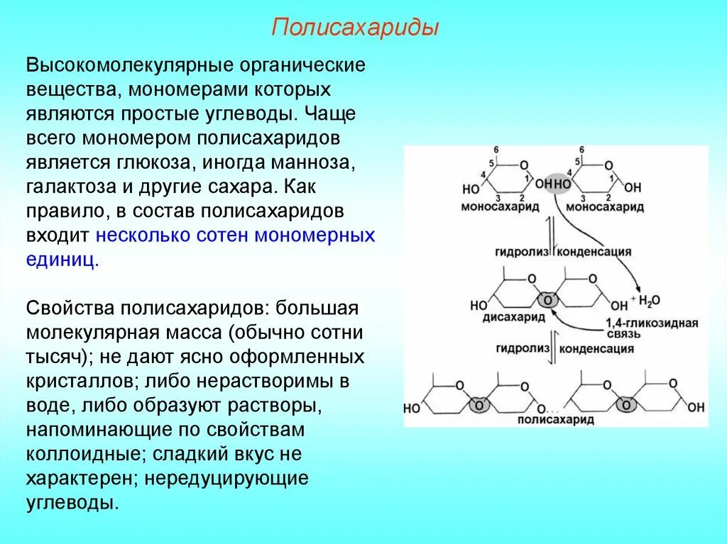Органические вещества клетки липиды углеводы строение. Строение мономера полисахаридов. мономеры полисахаридов формула. структурные мономеры полисахаридов. мономерами полисахаридов являются.