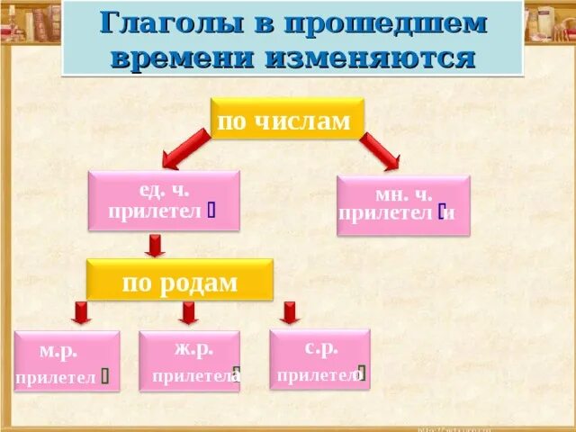 Изменение глаголов прошедшего времени род число. Глаголы прошедшего времени. Глаголы в прошедшем времени. Глаголы по родам.