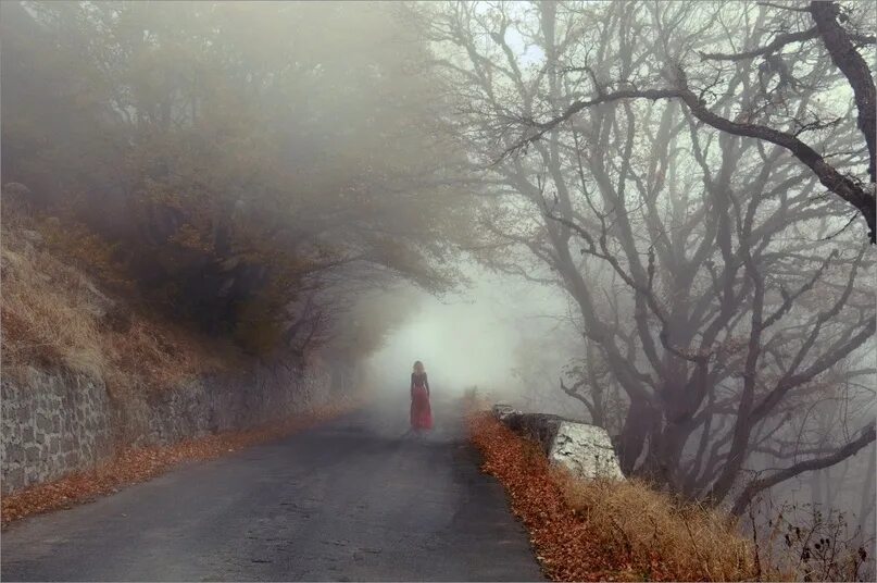 Темнеющую вдали. Дорога в тумане. Человек в тумане. Девушка в туманесна дороге. Ушла в туман.