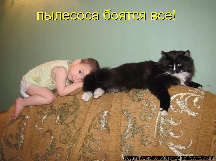 Котик боится высоты. Мемы про полицию. Танковые демотиваторы. Картинки прикольные смешные с надписями. Россиянин покажи миру как ты счастлив.