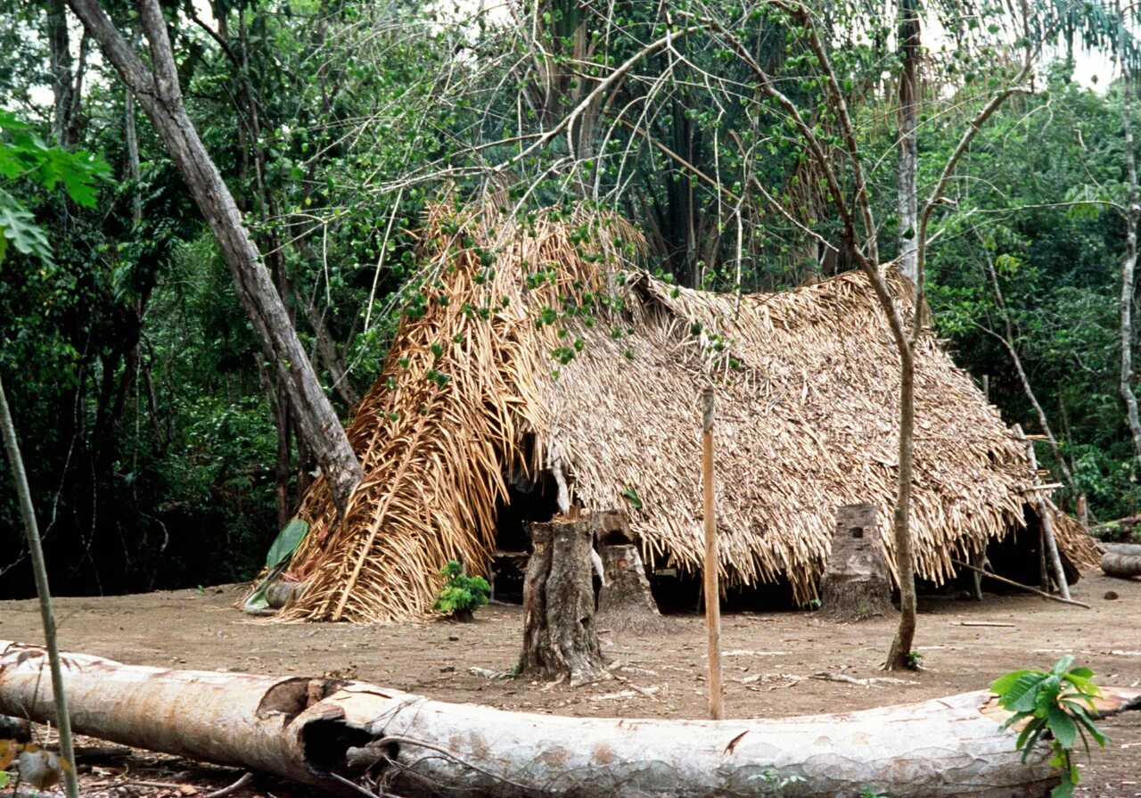 Традиционные жилища индейцев Венесуэлы.