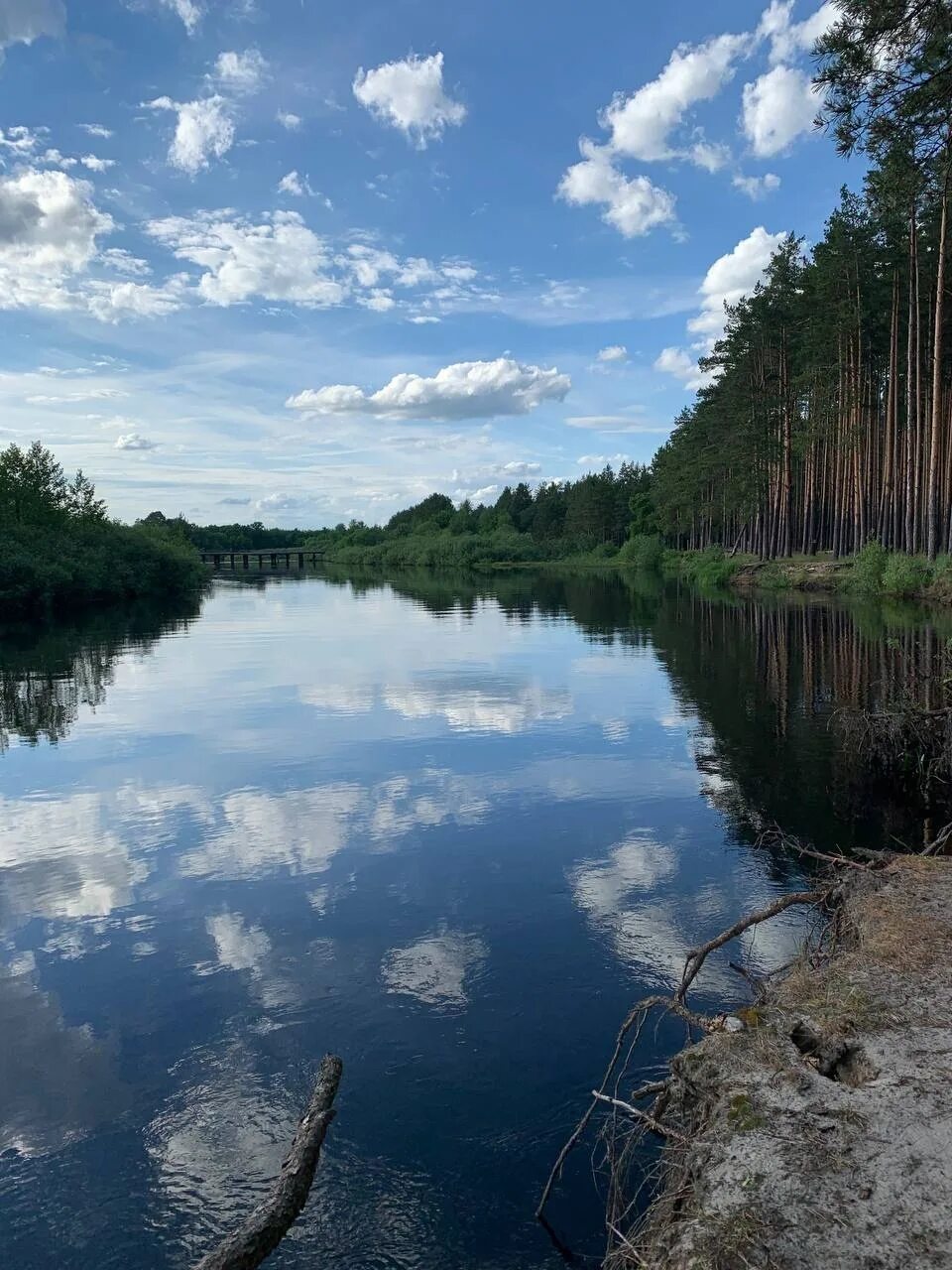 Река пра деулино. Деулино рязанская область. Деулино пра. Брыкин бор рязань заповедник. Река пра рязанская область.
