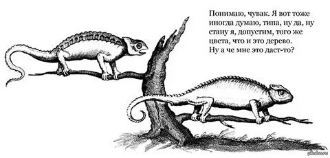 Мысли хамелеон