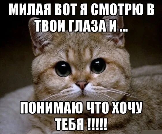 Хочу фотку. Я хочу тебя. Хочу тебя картинки. Ты милая. Хочу тебя милая.