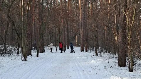 Юго западный лесопарк г екатеринбург