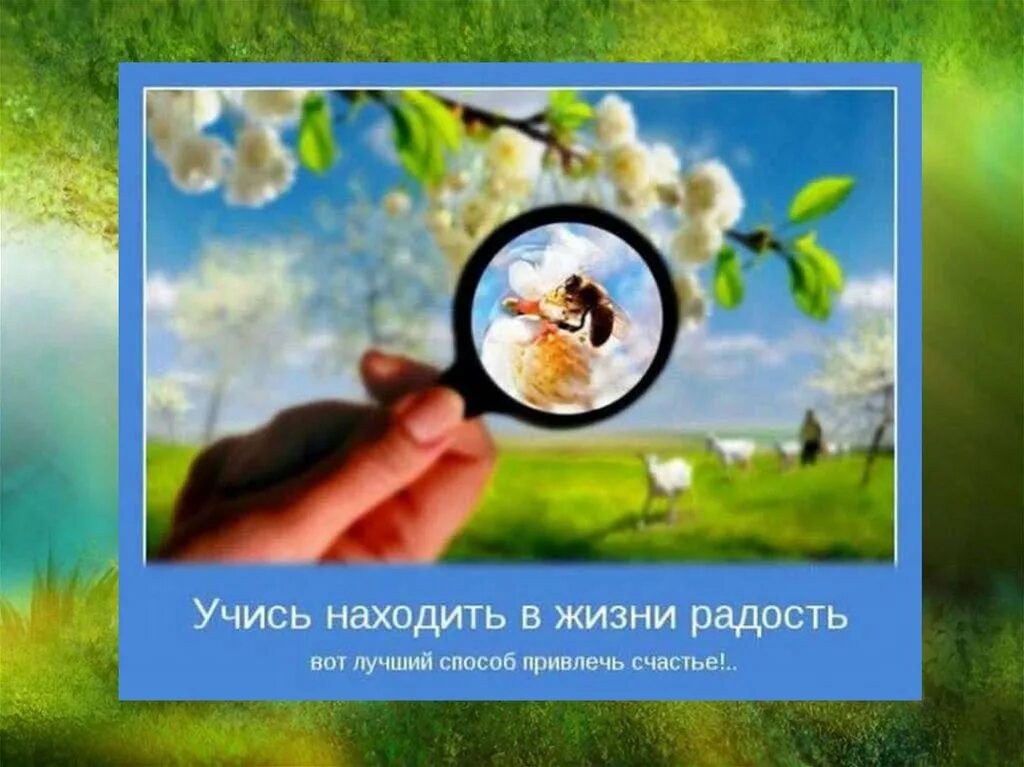 Радуйтесь жизни определите наклонение. Учиться находить радость в жизни. умей находить радость в жизни. учись находить в жизни радость. маленькие радости жизни.