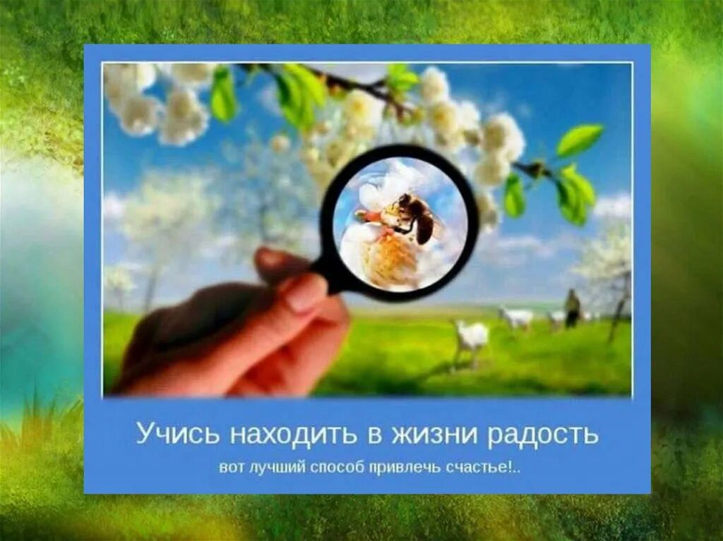 Поиск удовольствия. Учиться находить радость в жизни. Умей находить радость в жизни. Учись находить в жизни радость. Маленькие радости жизни.