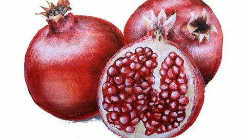 Гранат рисунок