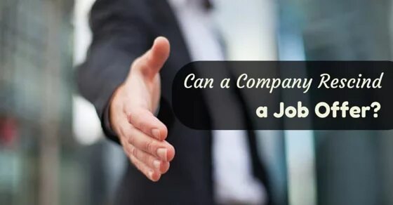 If i had been offered this job