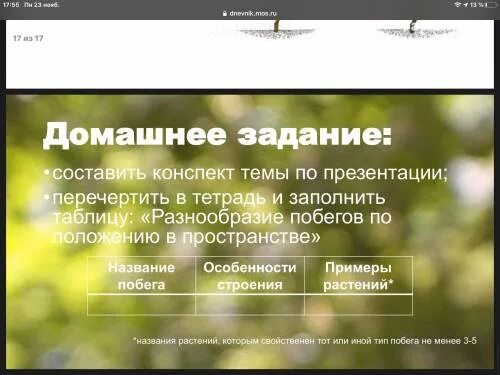 Заполни таблицу примерами растений травы 