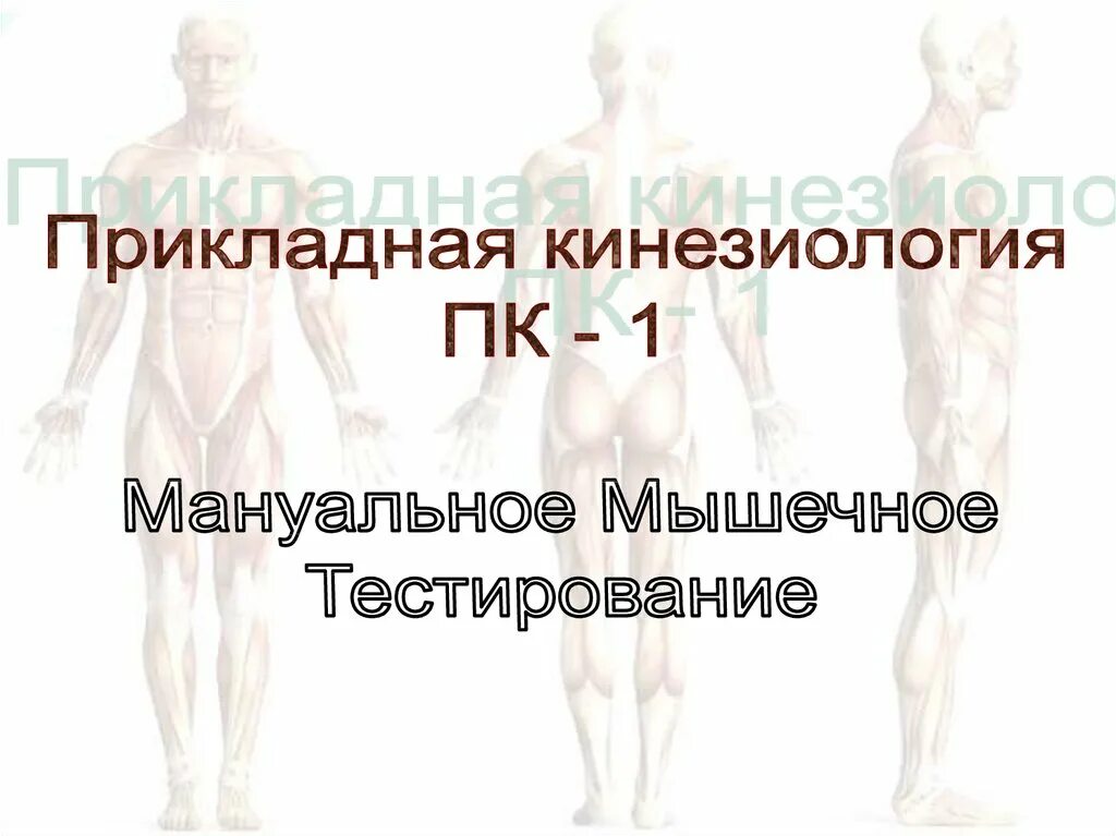 Мануальное мышечное тестирование. Кинезиология мышечное тестирование. прикладная кинезиология мануальное мышечное тестирование. функциональное тестирование мышц. мышцы кинезиология.