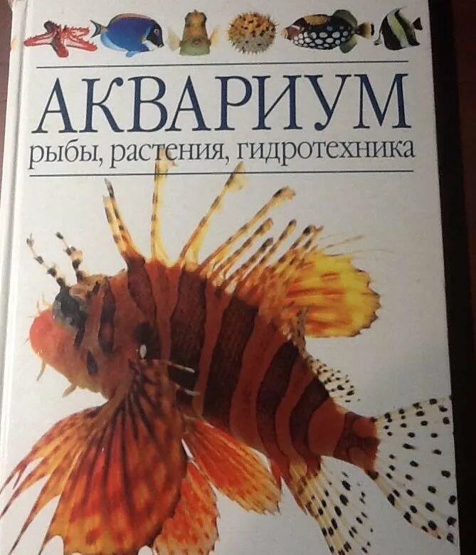 Книги про рыб. Книга про аквариумных рыбок. Аквариум книга. Аквариум и рыба,книга. Рыба книги купить