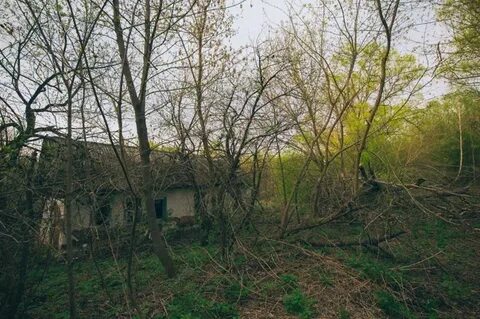 Рязанская область подслушано