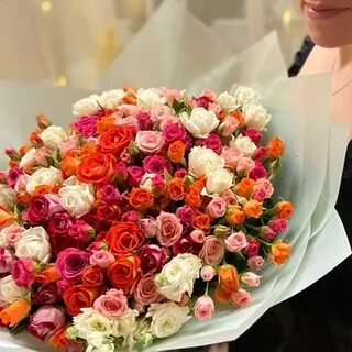 Лита тамбов