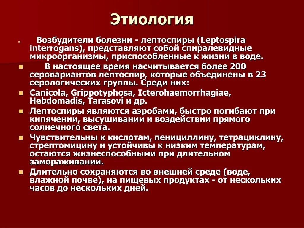 Лептоспироз этиология. Лептоспироз этиология патогенез. Лептоспироз этиология эпидемиология. Патогенез лептоспироза микробиология. Лептоспироз гепатит