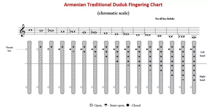 Блок флейта сопрано Yamaha аппликатура. Аппликатура свирели 6 отверстий. Дудук аппликатура строя ля. Аппликатура для флейты с 6 отверстиями. Как играть на дудке